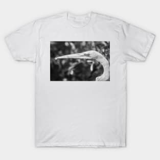 Black and white headshot of a Great egret T-Shirt